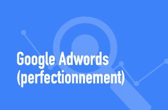 Google Adwords (perfectionnement)